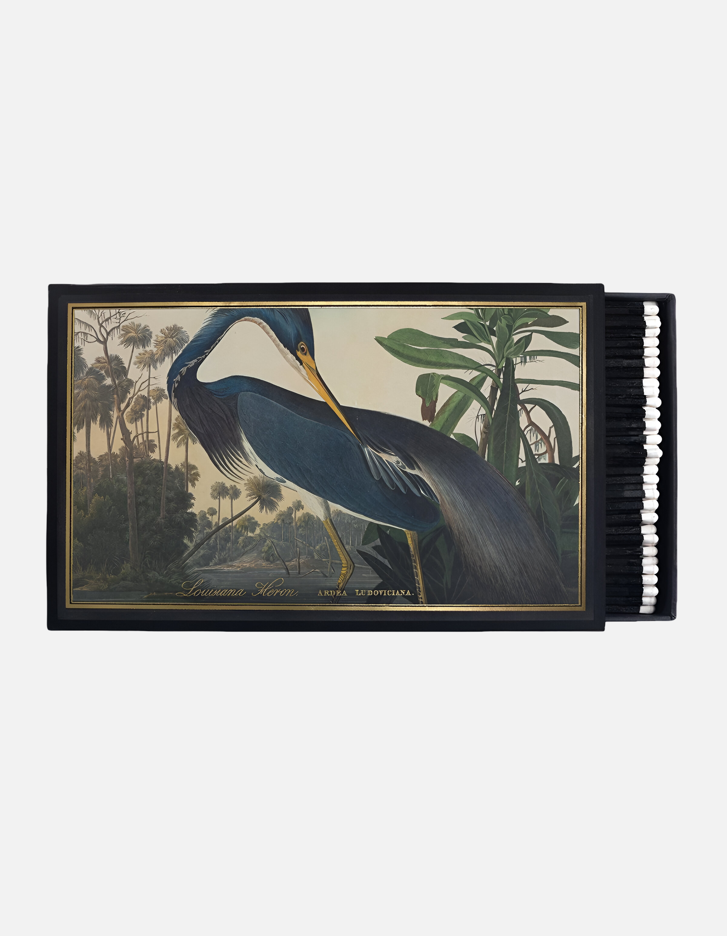 Cerillas gigantes LOUISIANA de Archivist