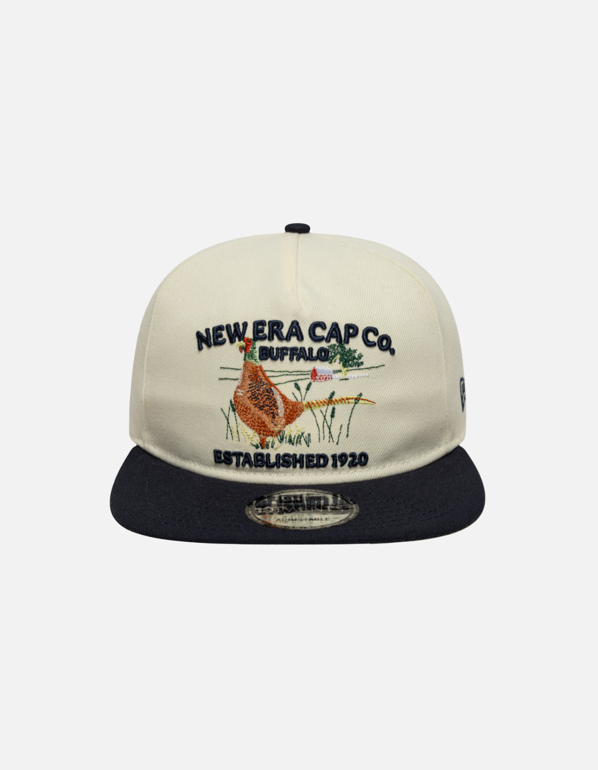 Gorra 19TWENTY New Era Outdoor Graphic Beige