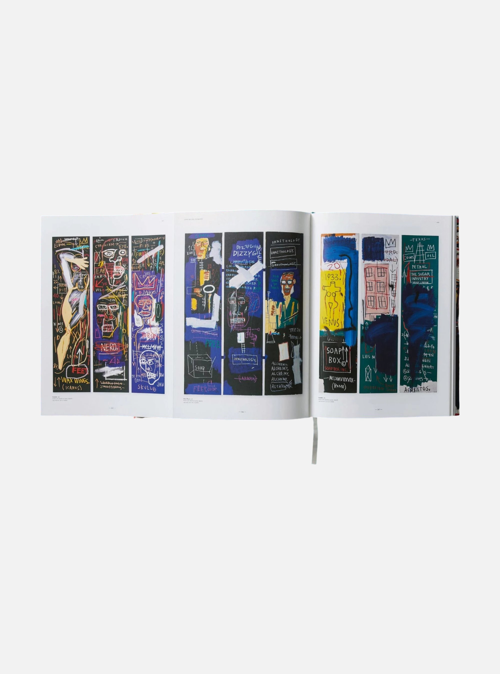 BASQUIAT XXL de TASCHEN
