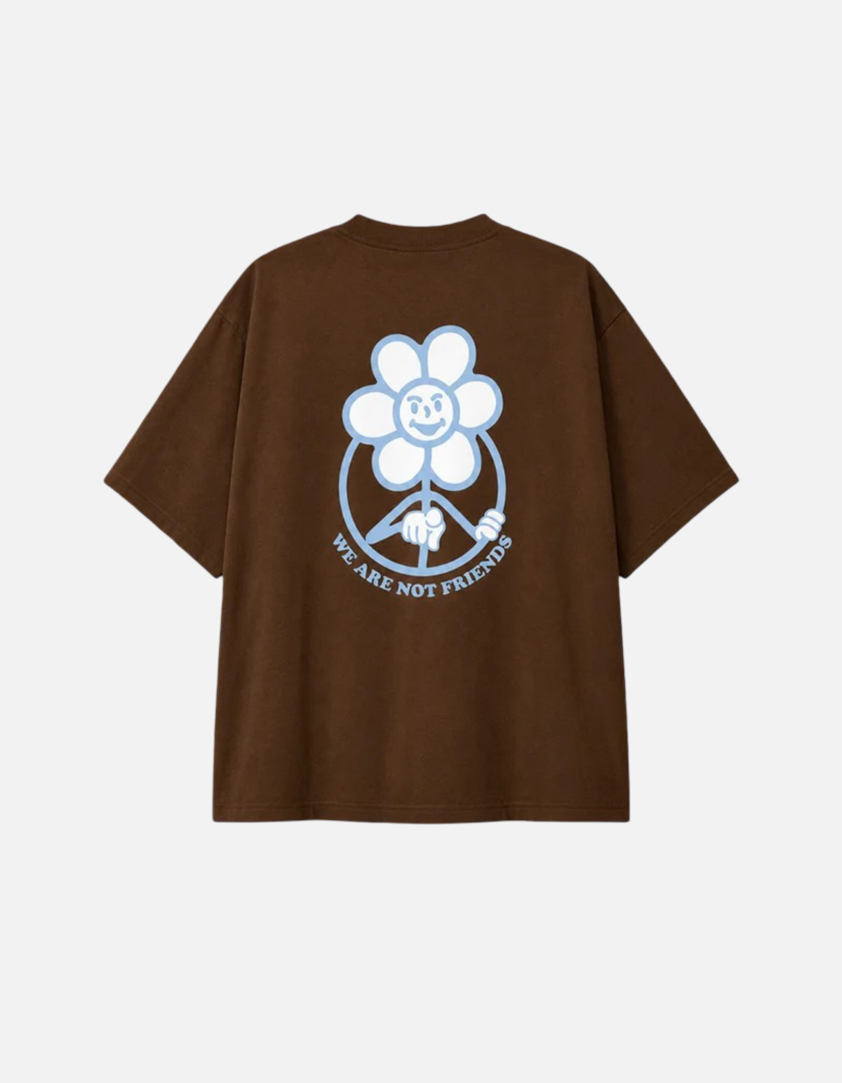 Camiseta Boxy Daisy Brown de We Are Not Friends