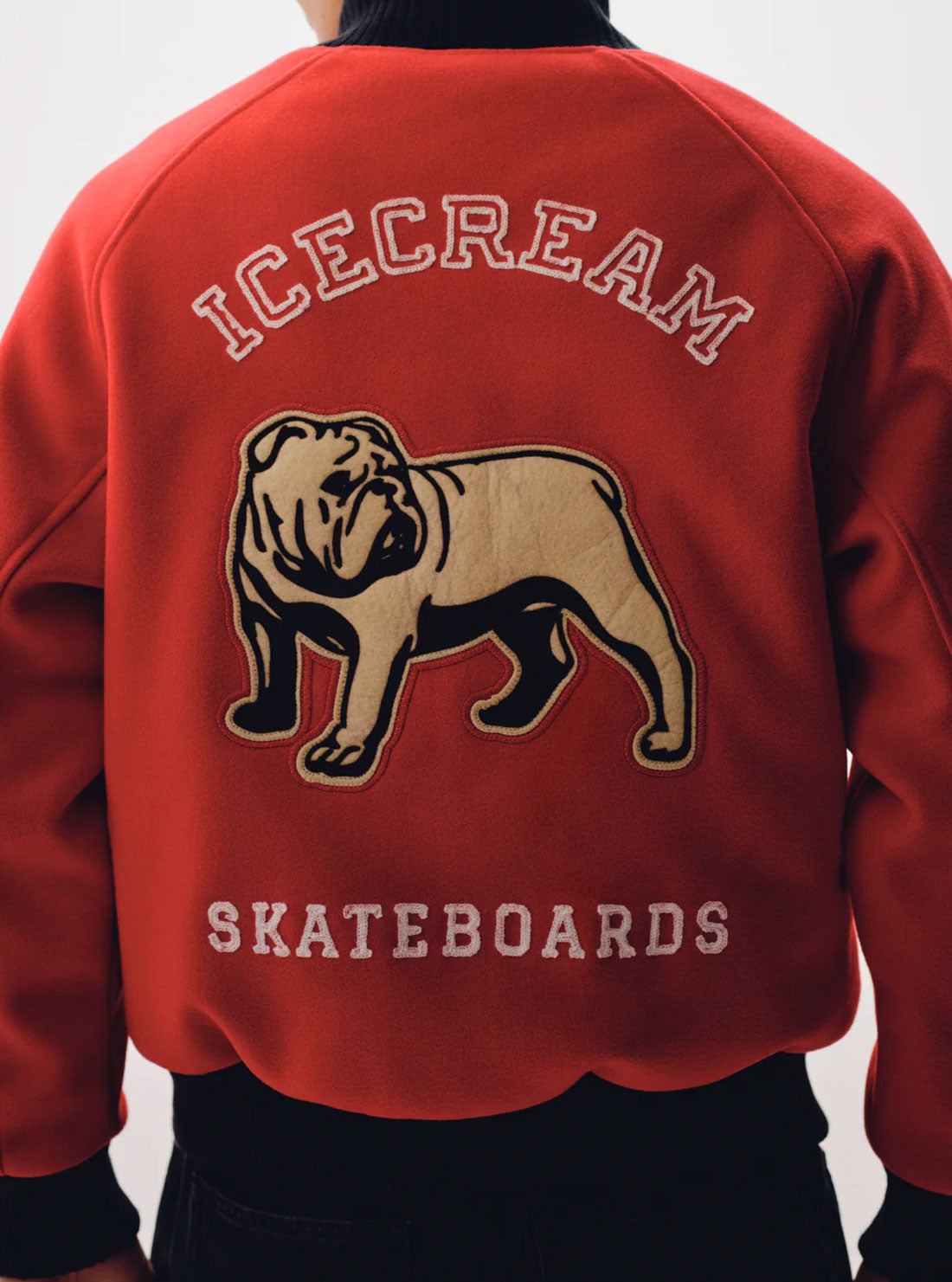 Bomber Universitaria Bulldog de ICECREAM